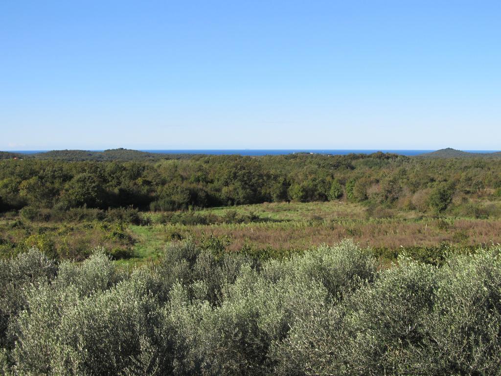 פורץ Holiday Home Vinkovic מראה חיצוני תמונה